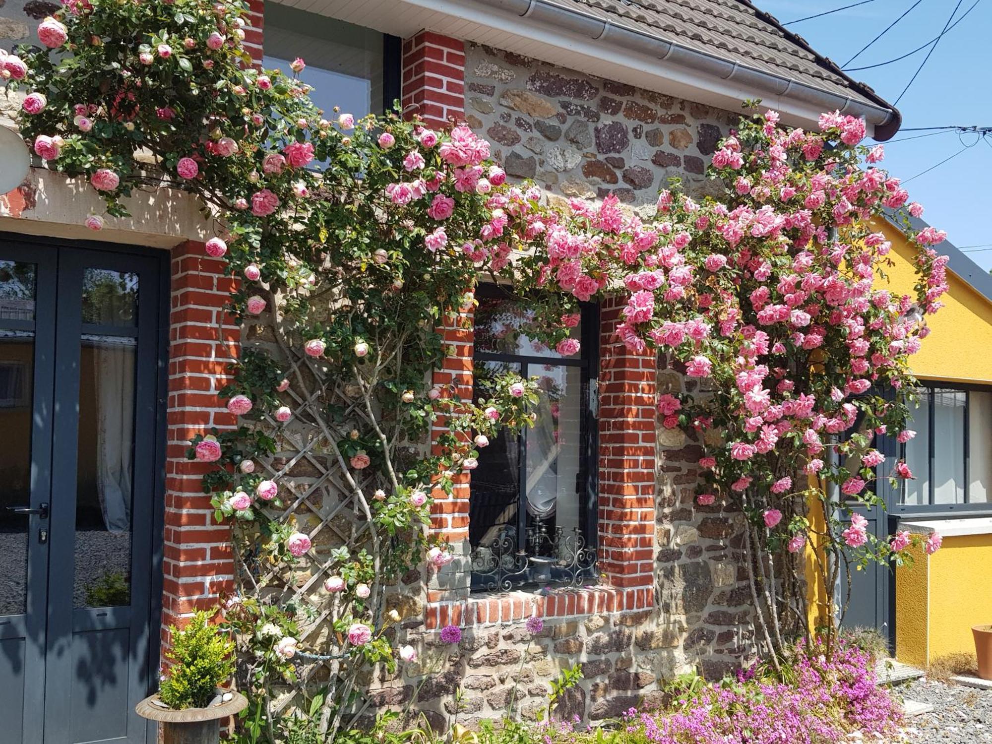 Bed and Breakfast Le Jardin Coudeville Zewnętrze zdjęcie