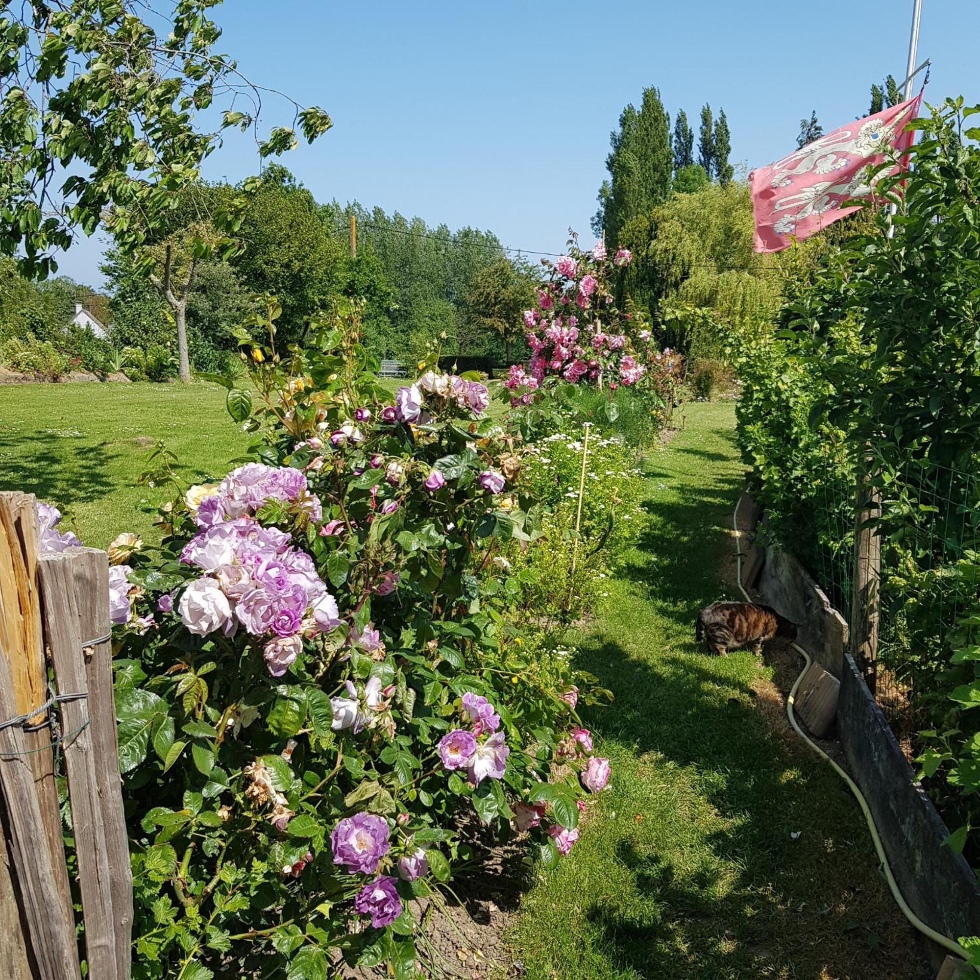 Bed and Breakfast Le Jardin Coudeville Zewnętrze zdjęcie